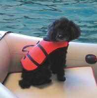 Kutya mentőmellény - Jobe CRUSHER Tube  - Tube-ok, Vízisí Wakeboard Kneeboard Tube, Hajófelszerelés hajósbolt, hajóalkatrészek széles választéka